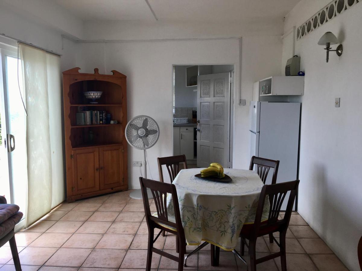 Carenage View Apartamento St. George's Exterior foto