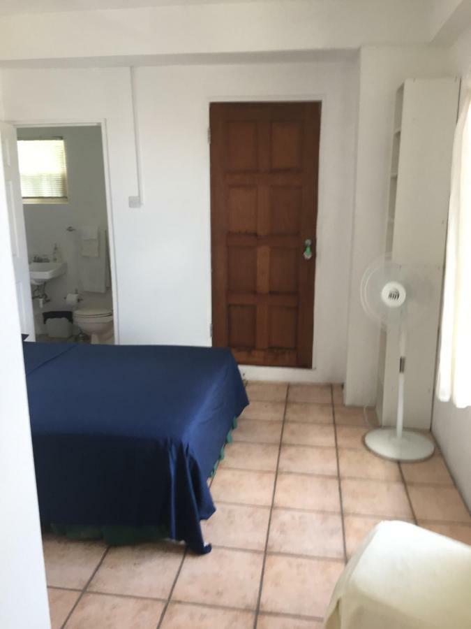Carenage View Apartamento St. George's Exterior foto